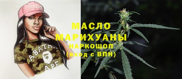 гидра Саяногорск