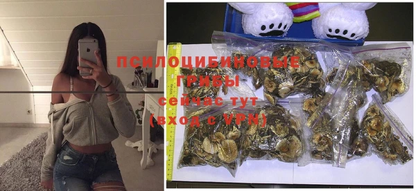 метадон Сафоново