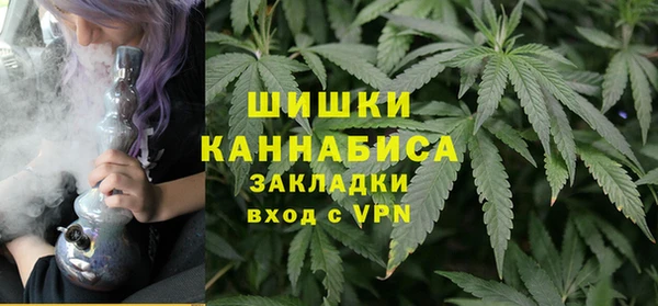 гидра Саяногорск