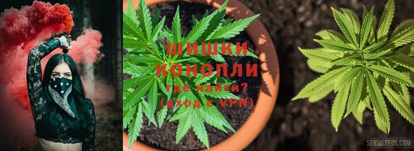 СК Семёнов